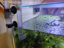 EXTERNAL-FILTER Sunsun-Tank Mini Aquarium HW602 HW603B/HW603 110-240V