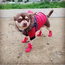 Zapatos antideslizantes para mascota de perro de lluvia, botas de goma impermeables para chihuahua, calzado para exteriores, calcetines para perro