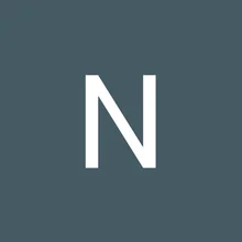 N***n