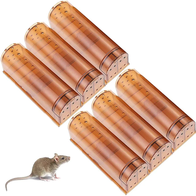 Humane Catch and Release Mouse Traps Pack of 2 - Mice Traps for House Indoor  & Outdoor - No Kill Mouse Trap