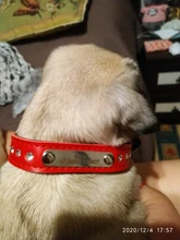 Dog-Collar Dogs Pink Customized Engraved Yorkies Chihuahua for Small