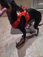 Adjustable Harness Dog-Accessories No-Pull-Vest Truelove Large Padded Pet-Dog Outdoor-Sport