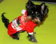 Halloween-Costume Christmas-Dog Hoodies Dogs-Coat Small Chihuahua Winter for Cat