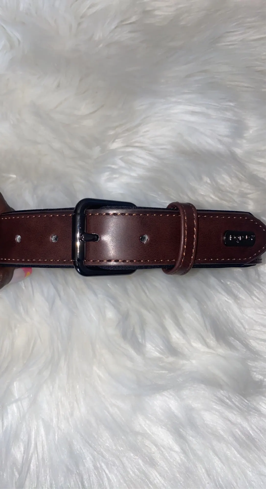 Leather Collar - With A Name Tag For The Dog photo review