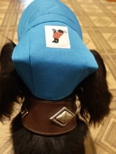 Sombrero para mascotas con agujeros para las orejas, gorra de béisbol ajustable para perros medianos pequeños, gorro para perro, para exteriores, senderismo, productos para mascotas