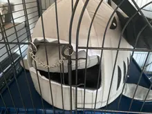 Bed Cage-House Hamster Hedgehog Rodents-Supply-Accessory Ferret Guinea-Pig Small Pet