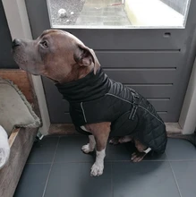 Jackets Dog-Coats Outdoor Winter Pet-Dog Dogs Large Medium for Warm Clothing Kurtka Ubranka