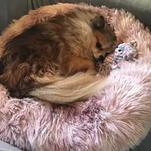 Cushion Nest Sofa Pet-Products Dogs-Basket Cat-House Animals Sleeping Cat Round Plush