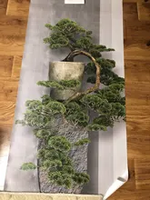 Green Wallpaper Mural Three-Dimensional-Pine Custom Wellyu Large Decorative-Painting