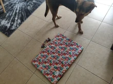 Cama grande para perro, colchoneta de espuma viscoelástica, transpirable, colchón ortopédico de fondo Oxford, para mascota mediana grande pequeña