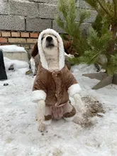 Pet-Dog-Clothes Jacket Puppy Coat Small Dogs Christmas Chihuahua Fleece Winter Warm Autumn