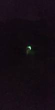 Dog-Collars Glowing Flashing Pet-Dog Rechargeable LED Night-Safety Luminous
