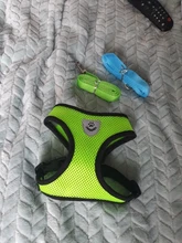 Cat-Harness Leash Mesh Bulldog Cats Small Dog Kitten Chihuahua French Breathable Nylon