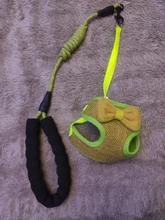 Breakaway Cat Collar Cute Bow Vests Cat Harness and Leash Cat Product Cat Accessories