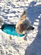 Dog-Down-Jacket French-Bulldog-Vest Pet-Chihuahua-Coat Dogs Reflective Reversible Winter