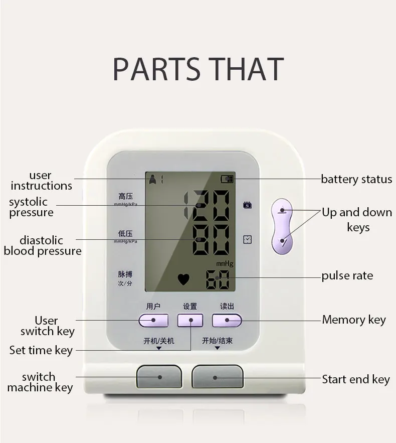 

CONTEC CONTEC08C, Цифровая Верхняя фотография, манжета NIBP для взрослых + дополнительный датчик SPO2
