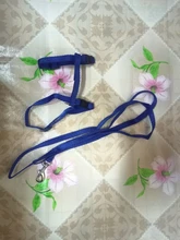 Pet Cat Collar Harness And Leash Adjustable Nylon Pet Traction Dog Kitten Halter Collar