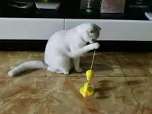 Cat-Stick Puzzle Pet-Windmill Teasing Pet-Supplies Interactive-Toy Training Catnip Funny