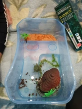 Caja de vivero de reptiles, hábitat de tortuga con rampa de pesca, herramientas de Acuario, caja de Vivarium de tortuga