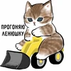 Изображение товара 5