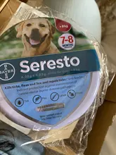 Seresto-Collar de prevención de pulgas y garrapatas para perros y gatos, repelente de mosquitos, suministros para mosquitos, 8 meses