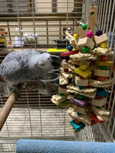 Toy Blocks Bird-Cage Bite-Toy Macaws Parrot Cockatoos Chewing Toy-Bird African Grey Large