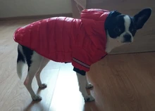 Small Dog Clothes Winter Warm Pet Dogs Coat Jacket Puppy Cat Outdoor Clothing Hoodies