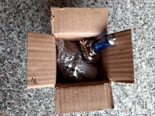 Hippcron-lámpara halógena H4 para coche, 12V, 60/55W, 5000K, bombillas halógenas de xenón, vidrio azul oscuro Super blanco (2 uds.)