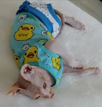 Ropa para perros y gatos traje camisa de chihuahua ropa perro ubranka dla psa honden kleding roupa para cachorro perros pequeños chaleco mascota ropa