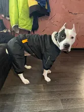 Dog-Coat Winter HOOPET for Dogs Clothing Warm Christmas Big