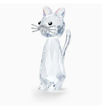 

Cat reissue 2020