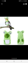 Outfit Costume Flying-Suit Pet-Bird-Accessories Birds Frog-Shaped Parrots Plush C42 Hat