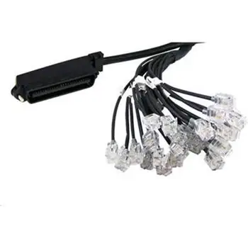 

Patton SmartNode Kabel 50 PIN TELCO 24 ENDS RJ11