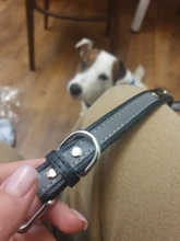 Microfiber Dog Collar Leather Safety Reflective Engraved Puppy Collar ID Name Customized