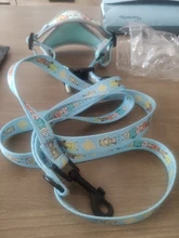 personalized Reflective Dog Cat Harness Vest Pet Adjustable Walking Leash Set for Puppy