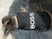 Pawstrip-ropa de verano para perro, camisa para perro, oso, Yorkie, Bulldog, chaleco para perro pequeño, playera para mascota, ropa para cachorro