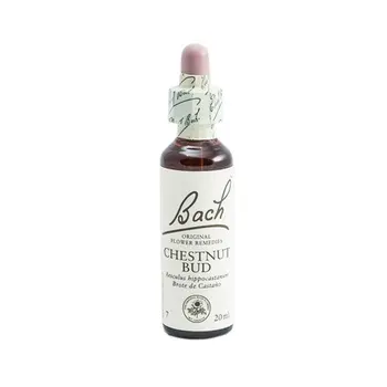 

Rescue 07 Chestnut BUD 20 ml