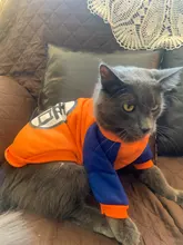 De moda disfraz mascota gato verano gato chaleco con capucha acogedor Mascoats Goto, ropa para gatos, Katten abrigo Kedi sudadera ropa traje