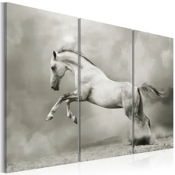 

Moving Picture-White Horse-60x40 cm