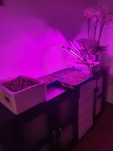 Phyto-Lamp Grow-Light Flower Seedlings Goodland USB Full-Spectrum For Plants LED 