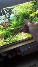 Tanque de acero inoxidable pinzas acuario herramienta tanque de peces de las plantas acuáticas recto codo pinzas de Clip acuáticos herramienta de limpieza