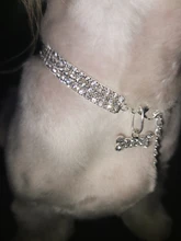 Collar ostentoso de perro de cristales para cachorro, Collar brillante con diamantes de imitación para mascotas, suministros de Perros pequeños S/M/L