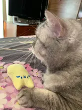 Teeth Grinding Catnip Toys Funny Interactive Plush Cat Toy Pet Kitten Chewing Vocal Toy