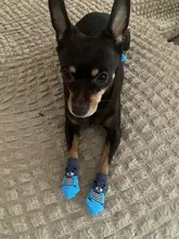 Zapatos antideslizantes para perros, calcetín de punto, Gato pequeños, Chihuahua, grueso, cálido, Protector de pata, calcetines de perro, botines, accesorios de invierno