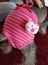 Dog Panties Physiological Pet-Dogs Menstrual-Hygiene Female Puppy Estrus Small Jeans