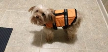Chaleco Salvavidas para perro, chaqueta Salvavidas para mascota, ropa de seguridad, traje de baño para mascotas, Chaleco de seguridad para verano