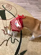 Dog Panties Physiological Pet-Dogs Menstrual-Hygiene Female Puppy Estrus Small Jeans