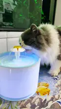 Water-Fountain Automatic Bowl Feeder Drinker FILTERS Led-Lighting Cats with 5-Pack USB