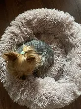 Cushion-Mat Beds Kennel Puppy-Supplies Sofa Cat-House Fluffy Warm DEKO Round Comfortable