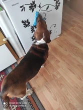 Comedero lento para mascotas, ventosa para alimentación de perros, almohadilla para lamer, tazón de silicona suave, esterilla para entrenamiento de aseo, 18x18x1,5 cm